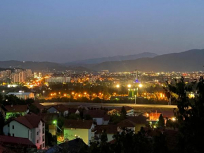 Stan na dan Kaan